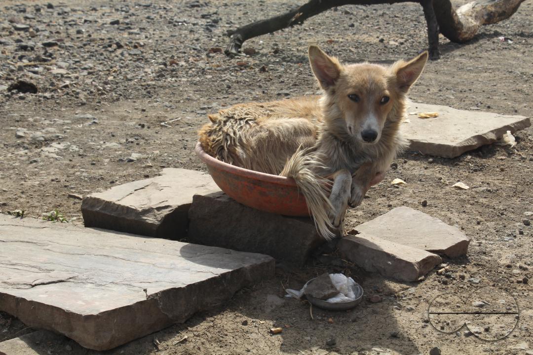 MWC045757