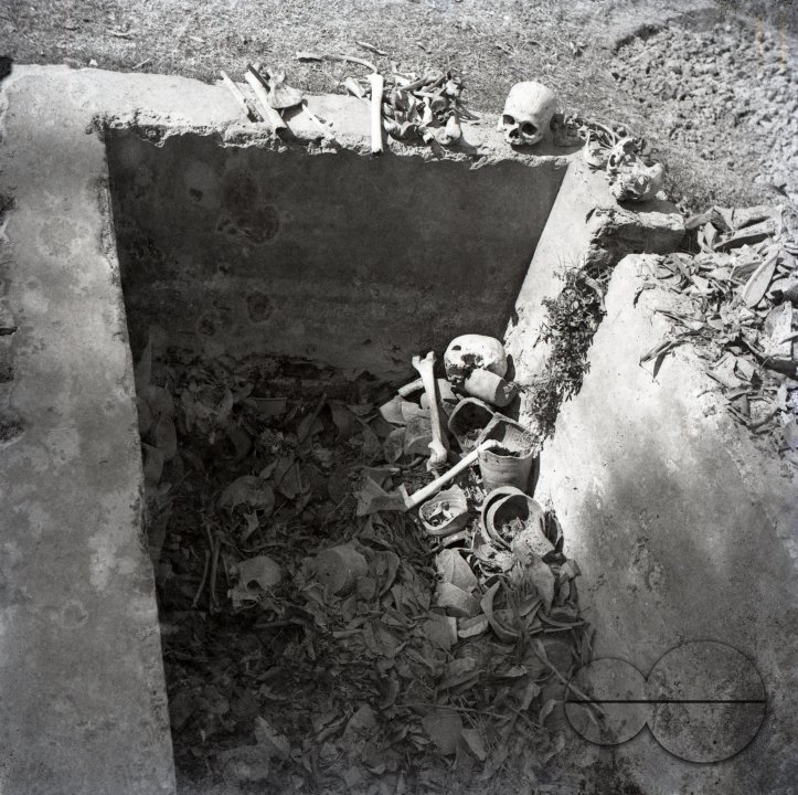 MWC008508