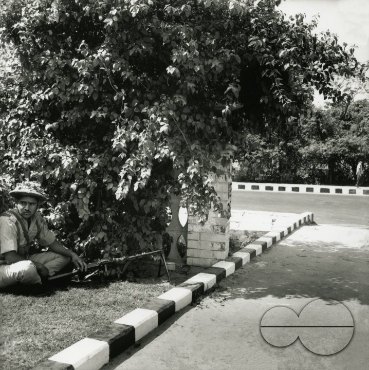 MWC008383