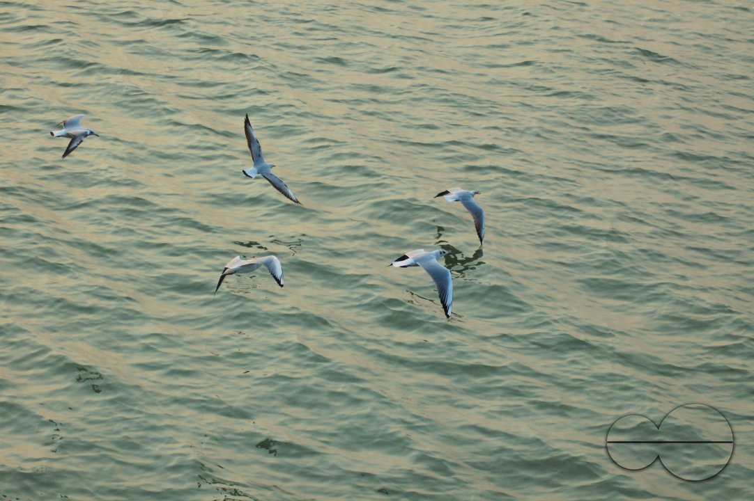 Sundarbans, Khulna, Bangladesh