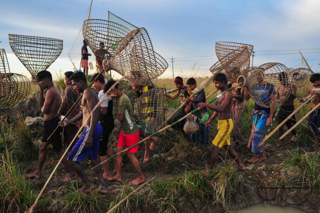 Rural people armed with Bamboo fish traps and nets take part in celebrating a 200-year winter fishing festival at the jofra beel of gasbari union of Kanaighat upazila of Sylhet, Bangladesh.