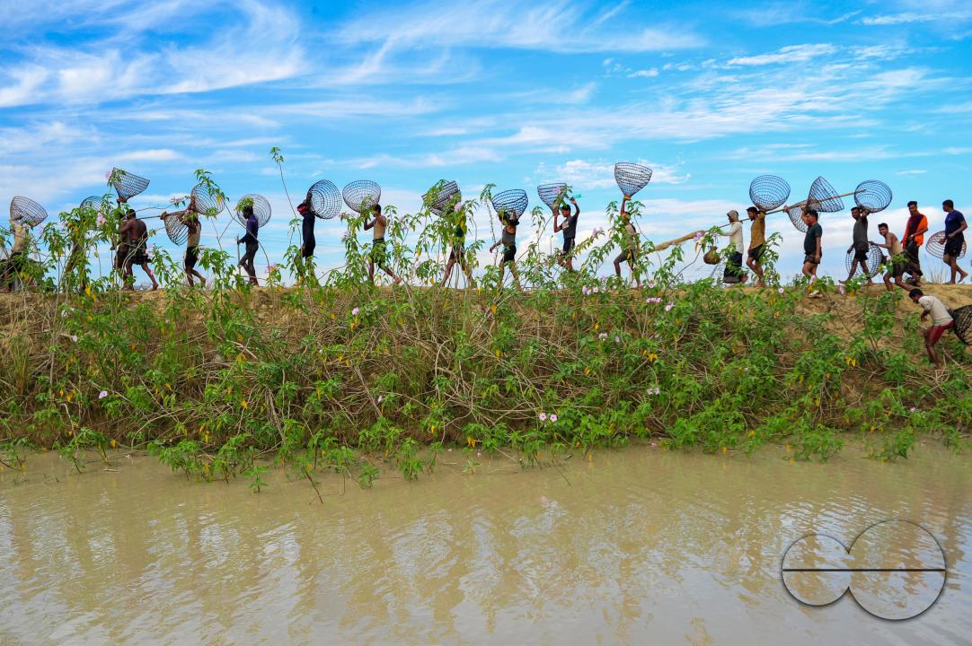 Rural people armed with Bamboo fish traps and nets take part in celebrating a 200-year winter fishing festival at the jofra beel of gasbari union of Kanaighat upazila of Sylhet, Bangladesh.