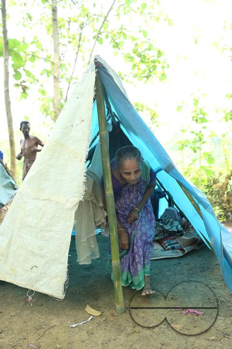 People in makeshift tents at Panisagar's reserve forest area