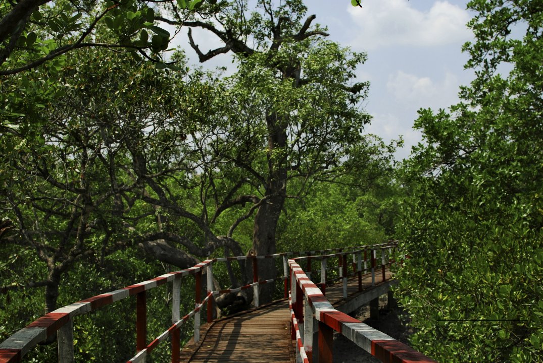 MWC021647