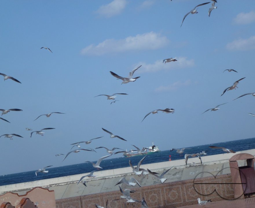 Muscat, Oman