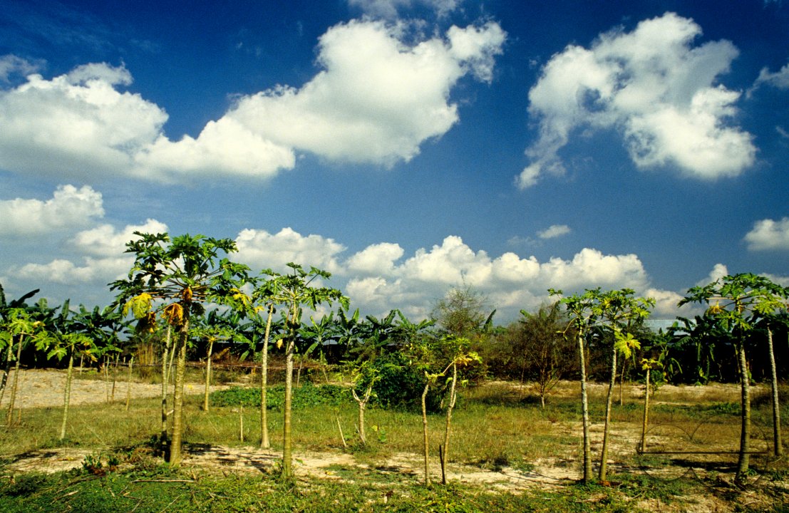 MWC02870