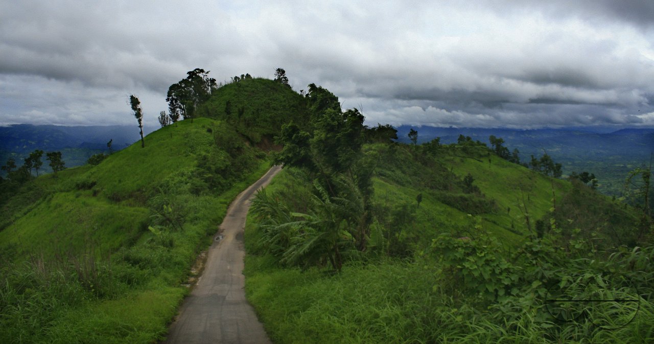 MWC004384