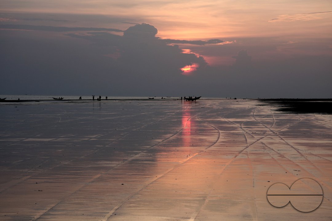 Bangladeshi Birds