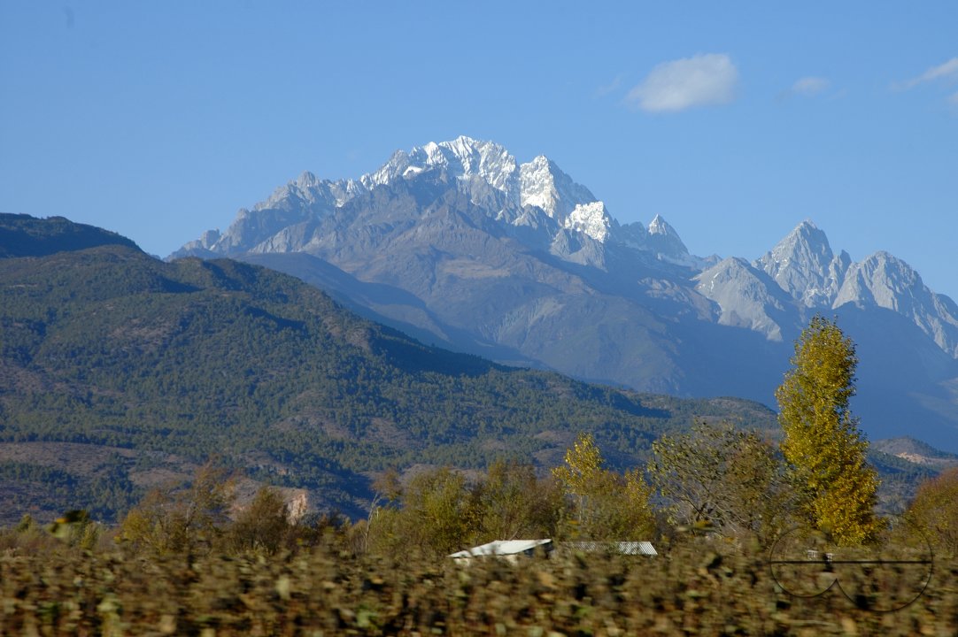 MWC004308