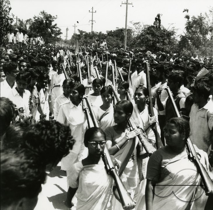 MWC008411