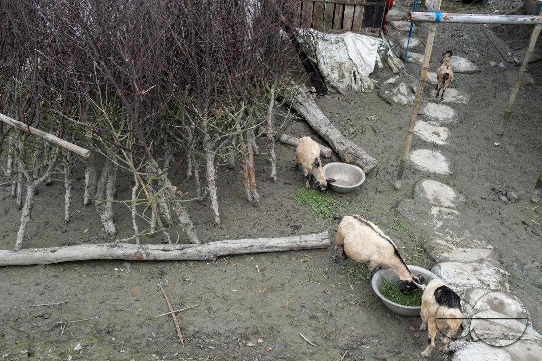 MWC046418