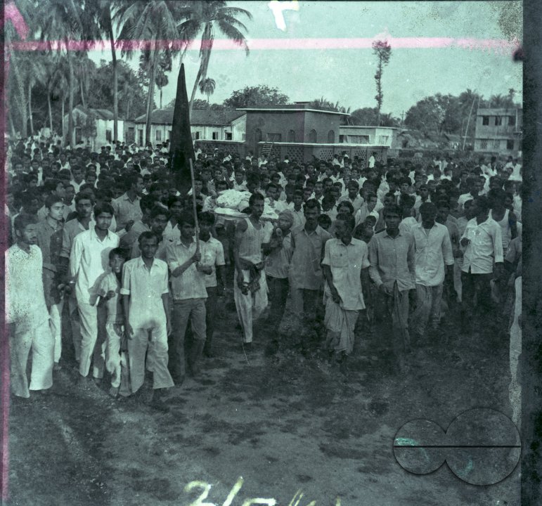 MWC008518
