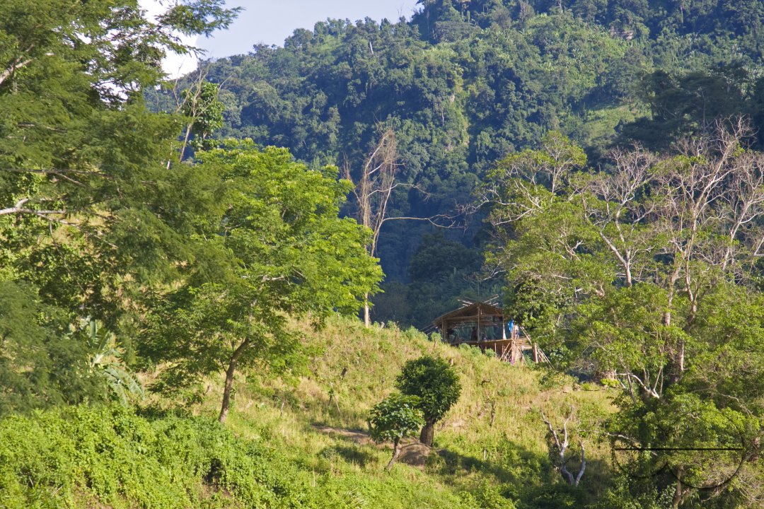 MWC012777
