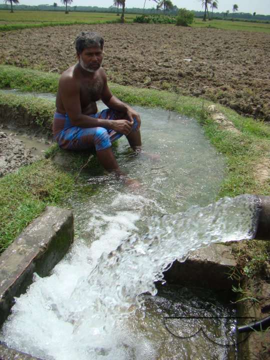 Crop damaged due to lack of rain