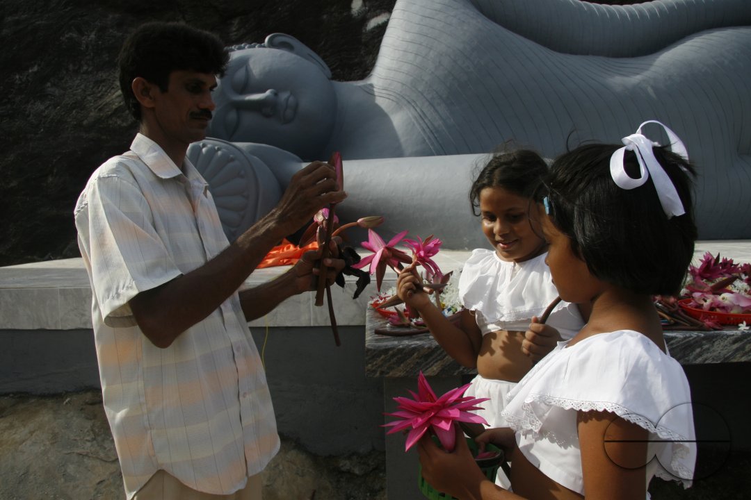 MWC020297
