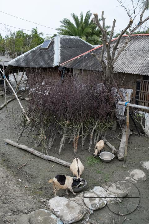 MWC046417