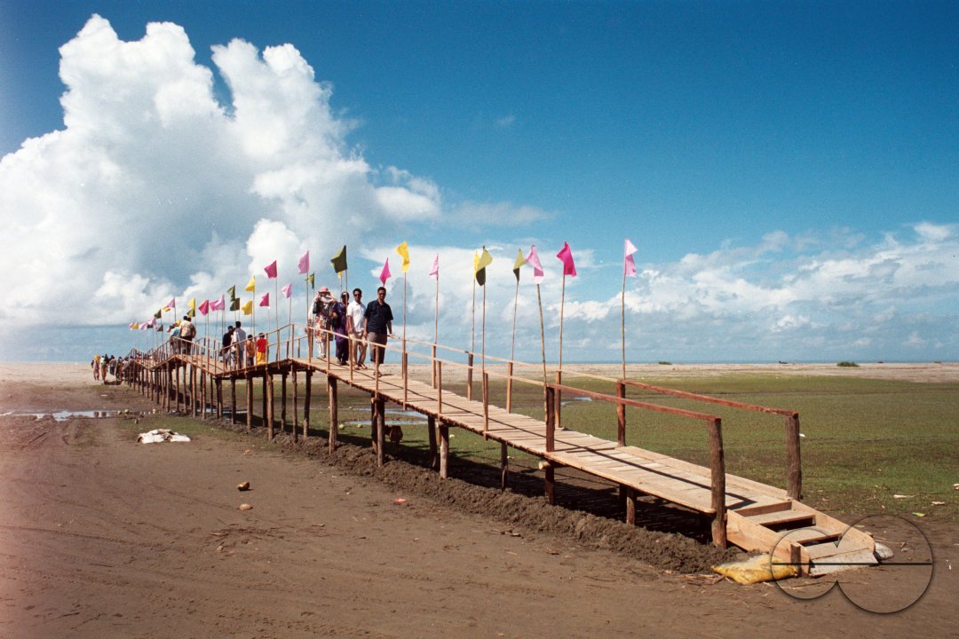 MWC011877