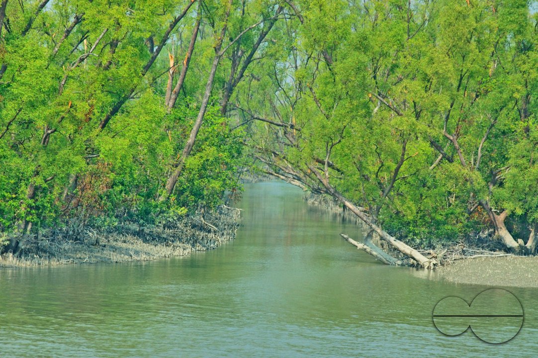 Sundarbans, Khulna, Bangladesh