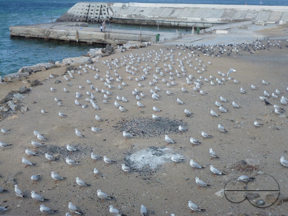 Muscat, Oman