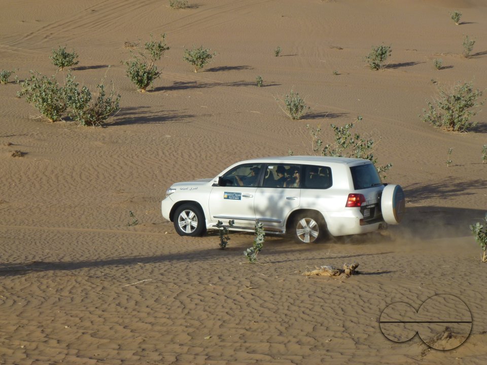 Holiday in Dubai