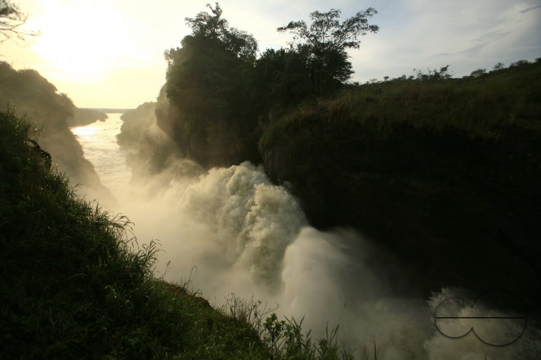 MWC023205