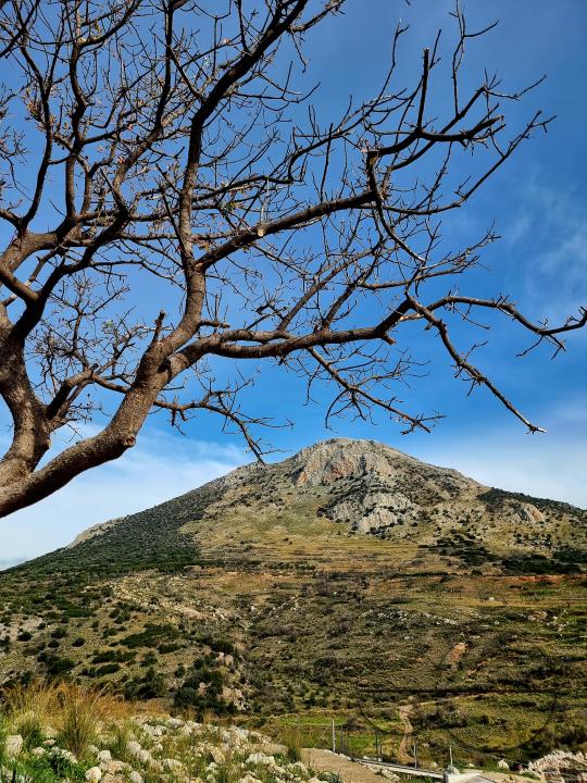 The Archaeological site of Kolonna is located on a small peninsula between Aegina and the town's closest beach