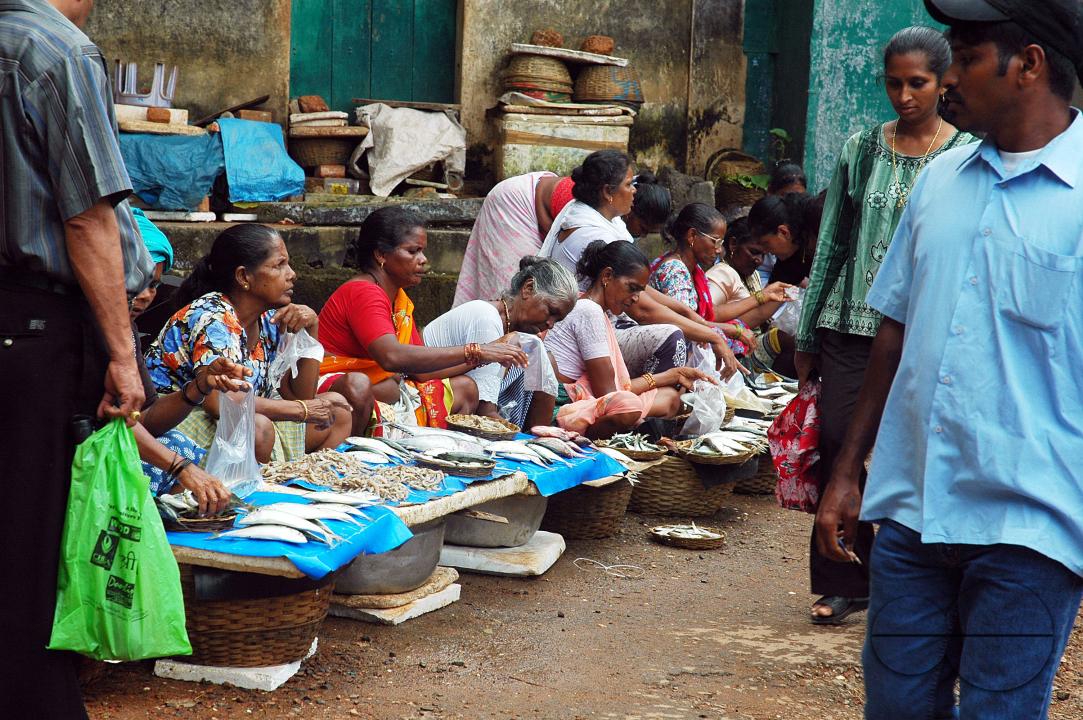 Life in Goa