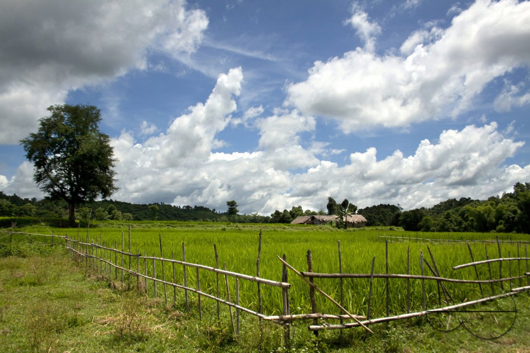 MWC020477