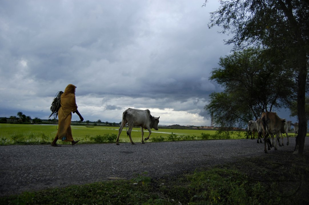 MWC021751