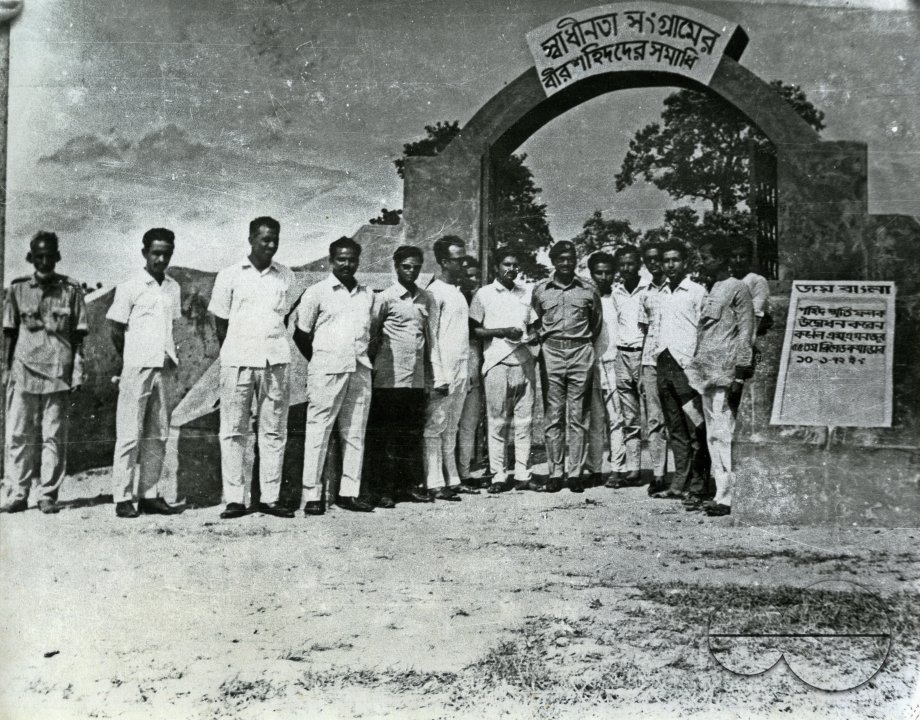 MWC008401