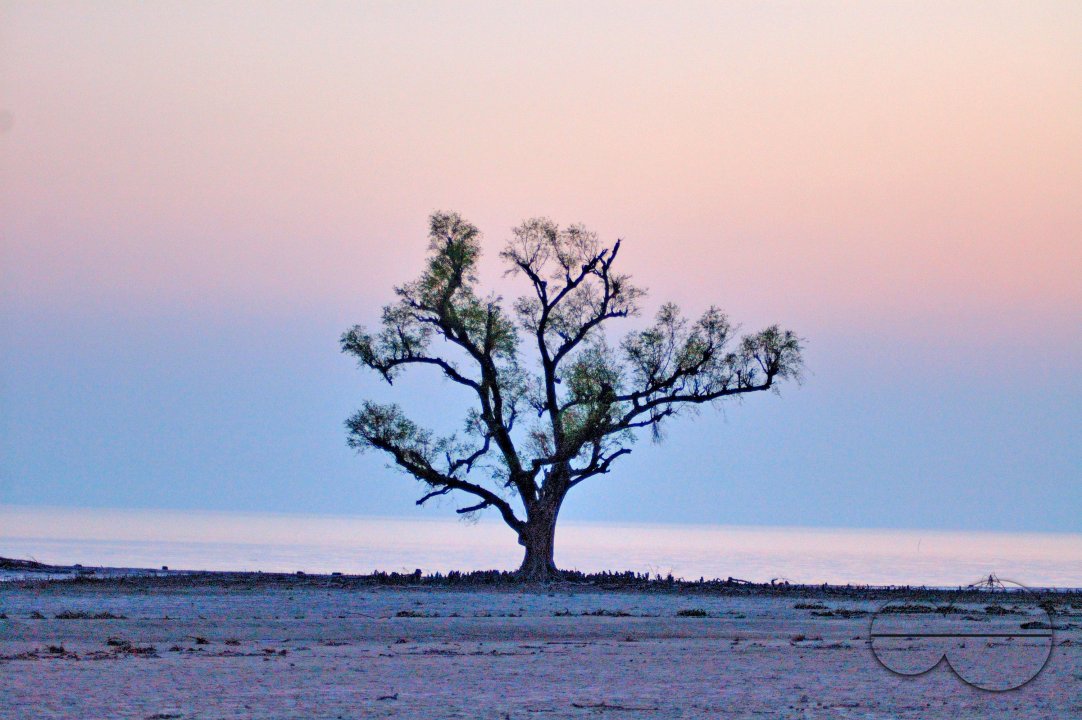 Sundarbans, Khulna, Bangladesh