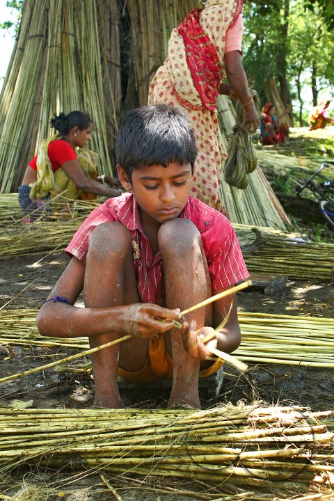 Jute