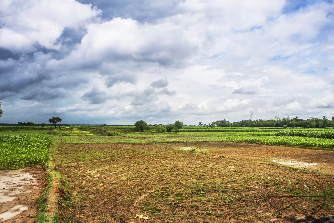 Agricultural land for growing vegetables and fruits