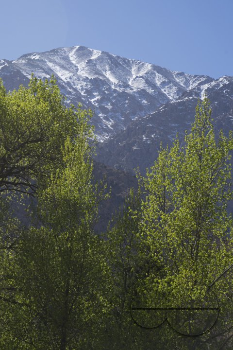 MWC033610