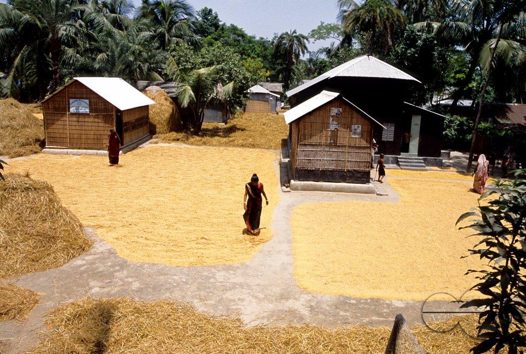 MWC02911