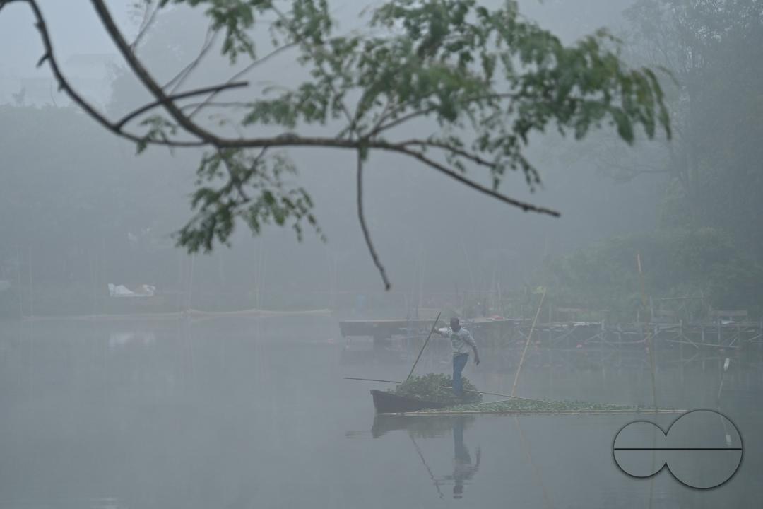 A worker collects plankton on a foggy morning at the MBB College lake at Agartala
