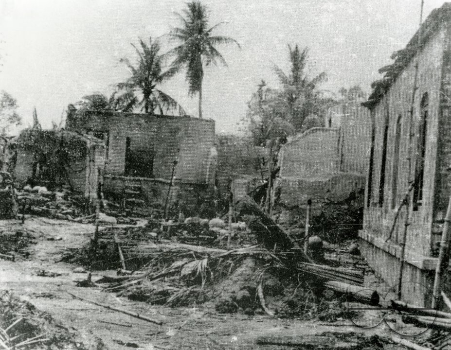 MWC008392