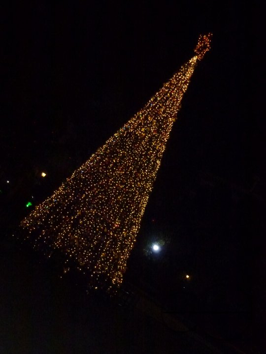 Holiday in Dubai