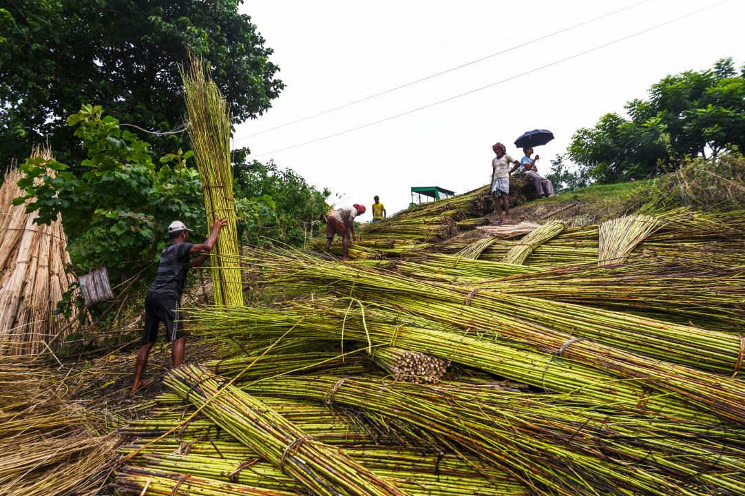 The Asia Pacific region, led by major jute producer India, dominates the Jute Bags Market