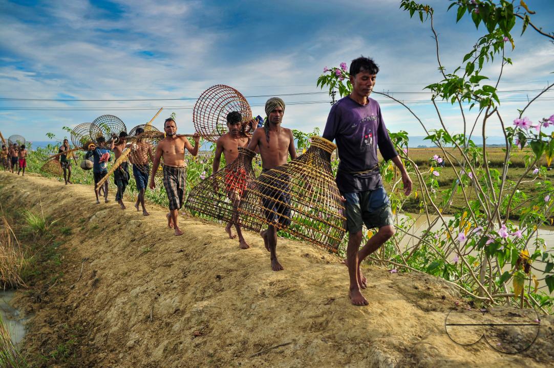 Rural people armed with Bamboo fish traps and nets take part in celebrating a 200-year winter fishing festival at the jofra beel of gasbari union of Kanaighat upazila of Sylhet, Bangladesh