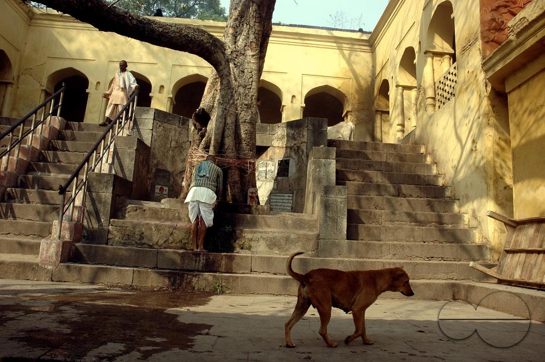 MWC059531