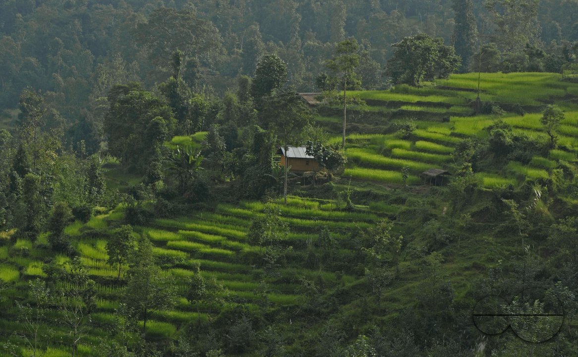 MWC03076