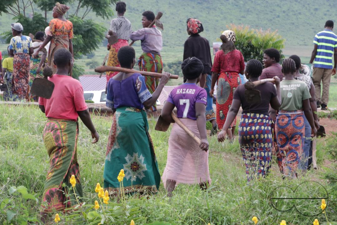 Women carry their hoes back home after planting trees on the banks of the Bua River in kasungu District, Malawi