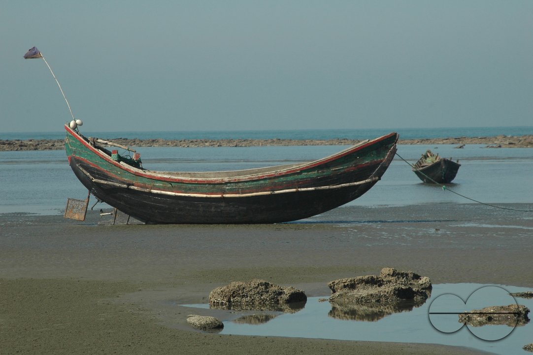 MWC004203