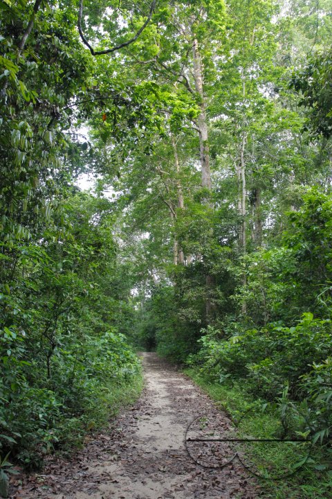 MWC004684