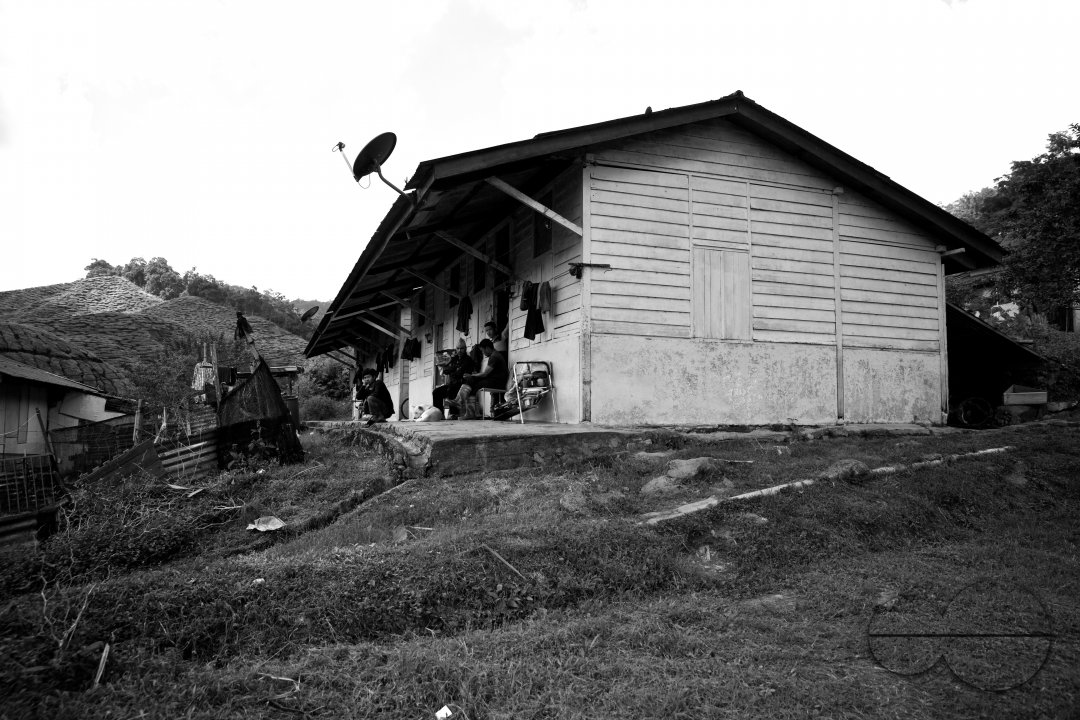 Migrants in Malaysia's tea estates