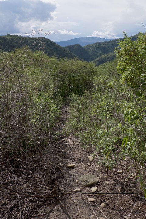 MWC026836