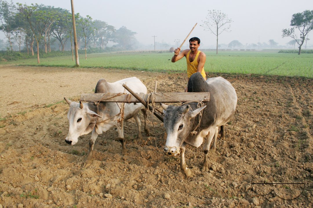 MWC02786