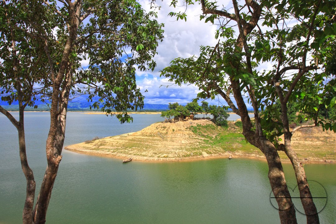 MWC024168