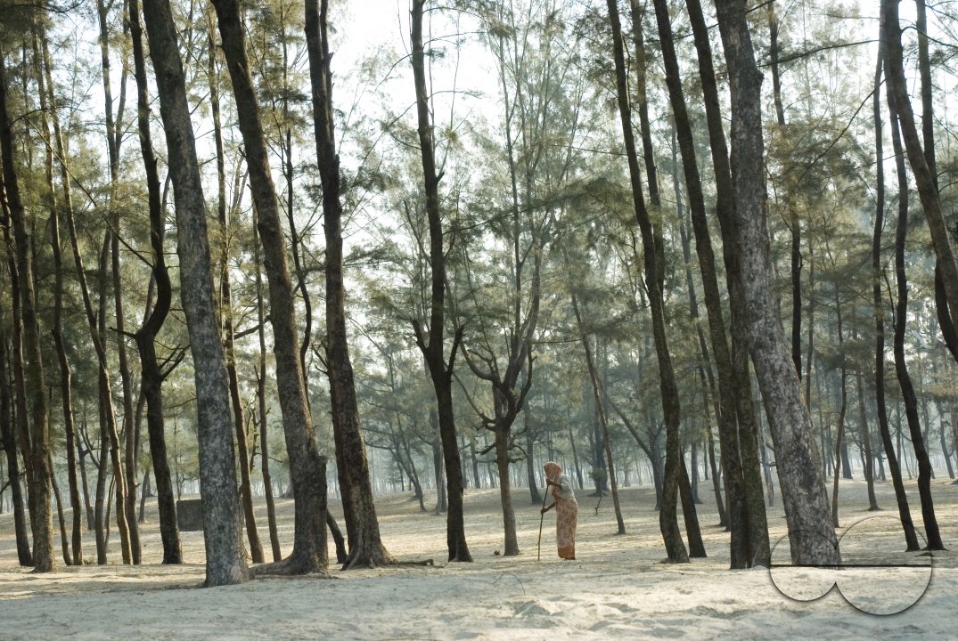 Rahinhga refugee